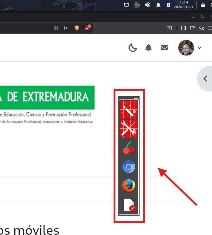 Descripción