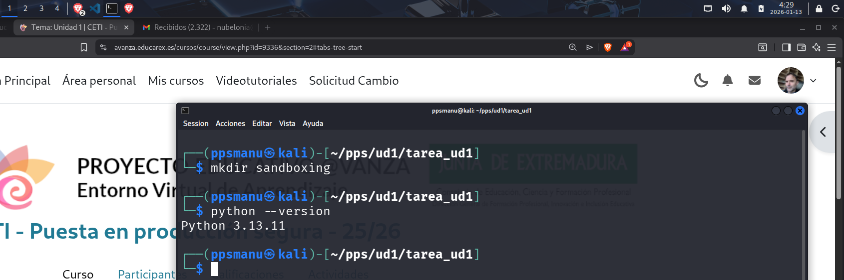 Descripción